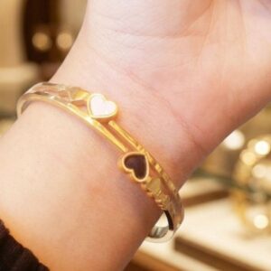 أسطورة استانلس بيور اشكال